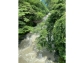 LINE_ALBUM_72藤橋_260712_4