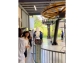 LINE_ALBUM_72道後溫泉_260712_40