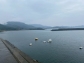 LINE_ALBUM_74小豆島之旅_260712_85