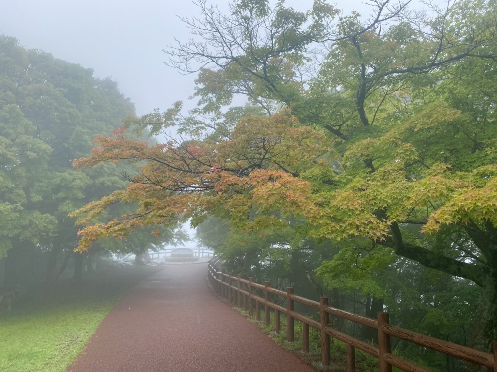 LINE_ALBUM_74小豆島之旅_260712_89