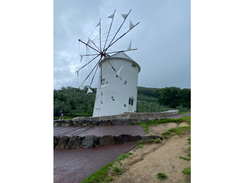 LINE_ALBUM_74小豆島之旅_260712_111