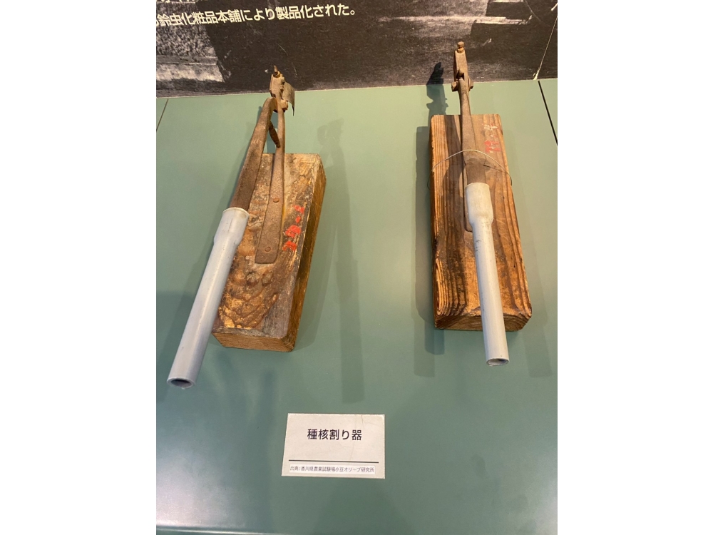 LINE_ALBUM_74小豆島之旅_260712_115