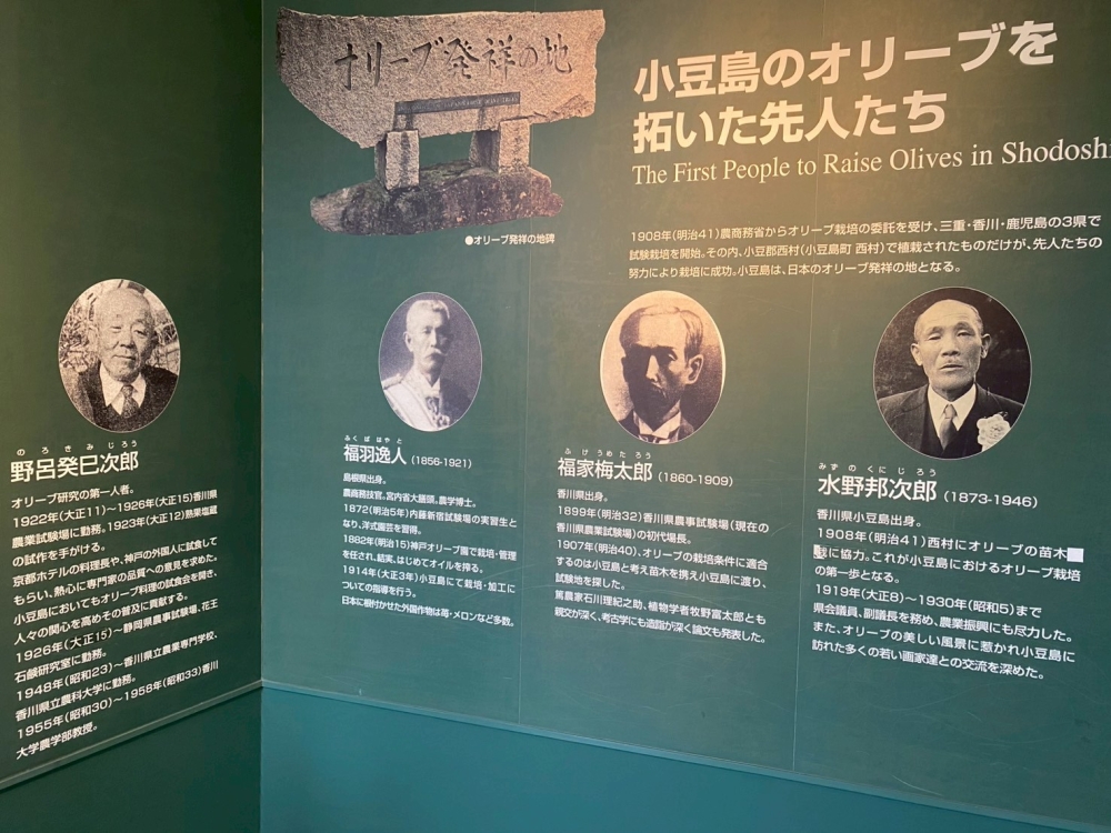 LINE_ALBUM_74小豆島之旅_260712_117
