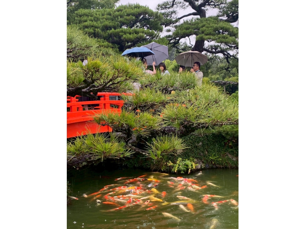 LINE_ALBUM_73松山城_260712_1