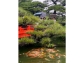 LINE_ALBUM_73松山城_260712_1