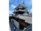 LINE_ALBUM_73松山城_260712_59