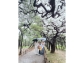 LINE_ALBUM_75栗林公園_260712_1